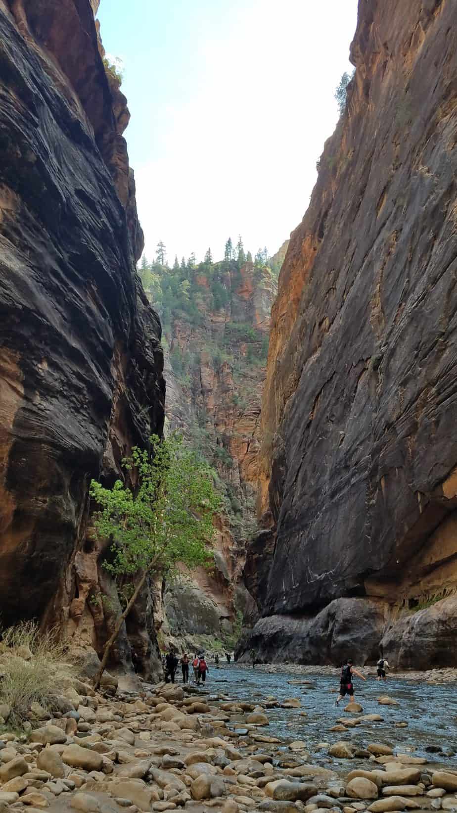 The Narrows, Zion National Park