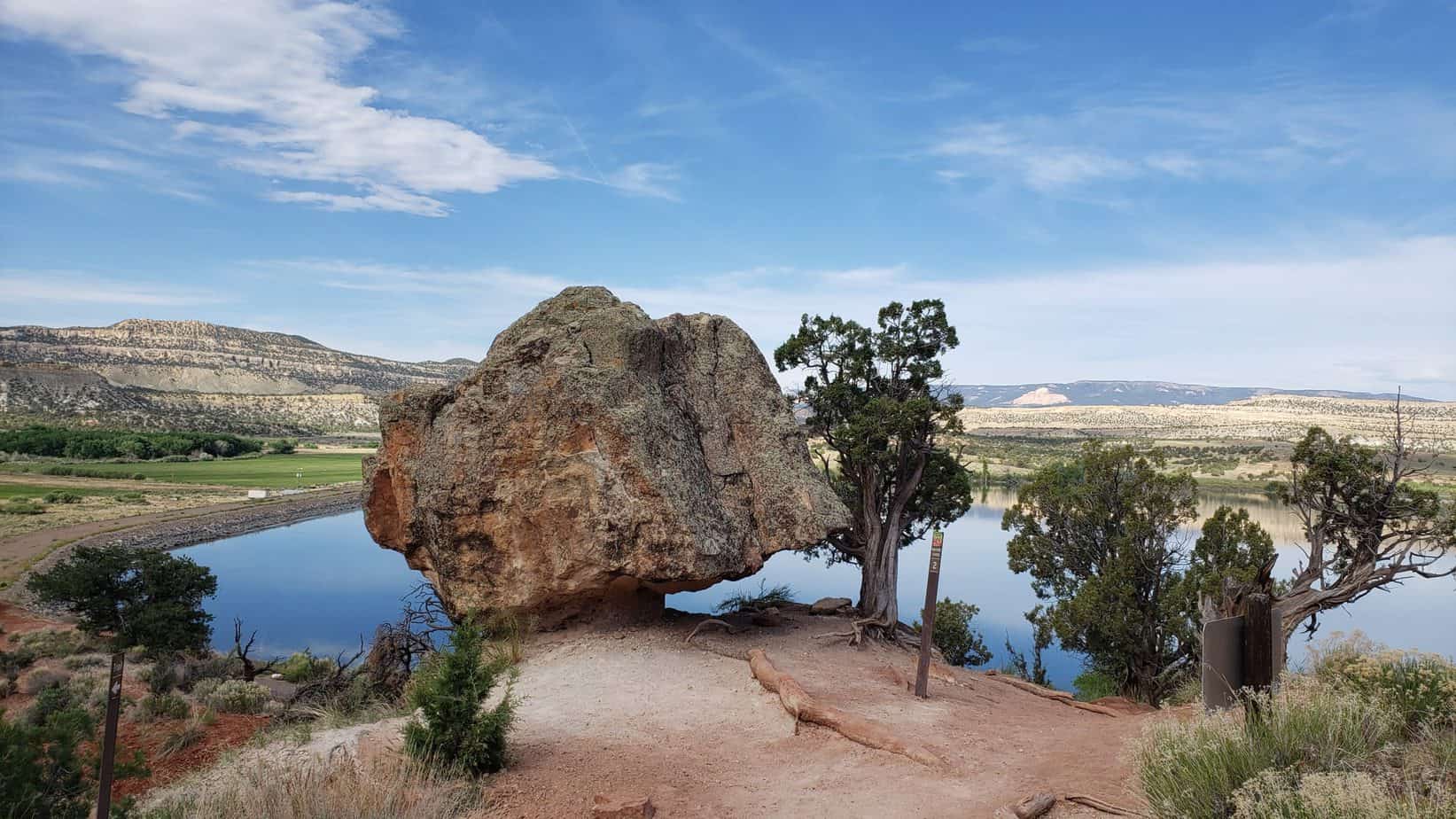 Petrified Forest Nature Trail, Utah