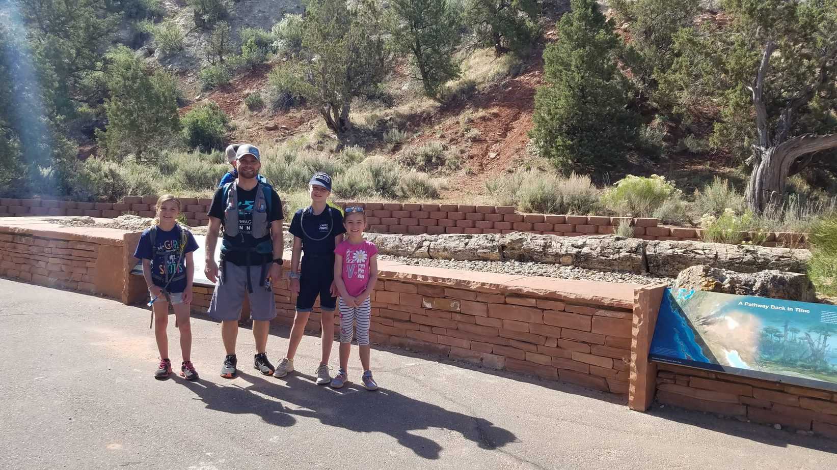 Petrified wood viewing area at Petrified Forest State Park