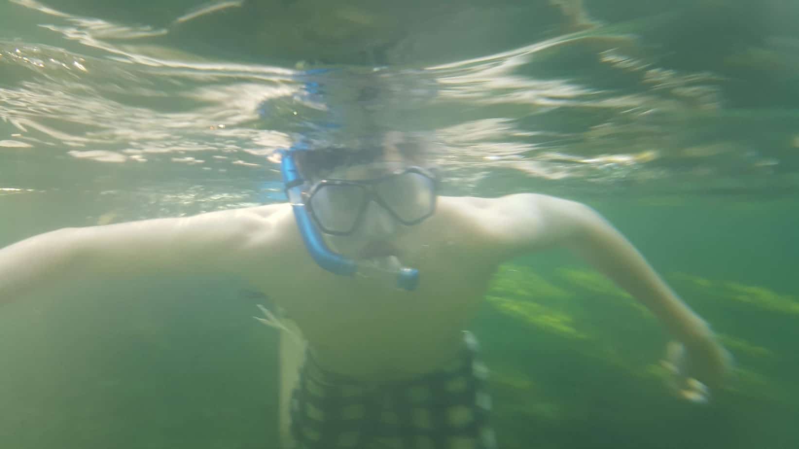 Snorkeling in Blue Springs Florida