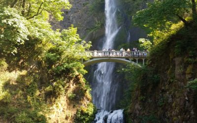 Multnomah Falls with Kids