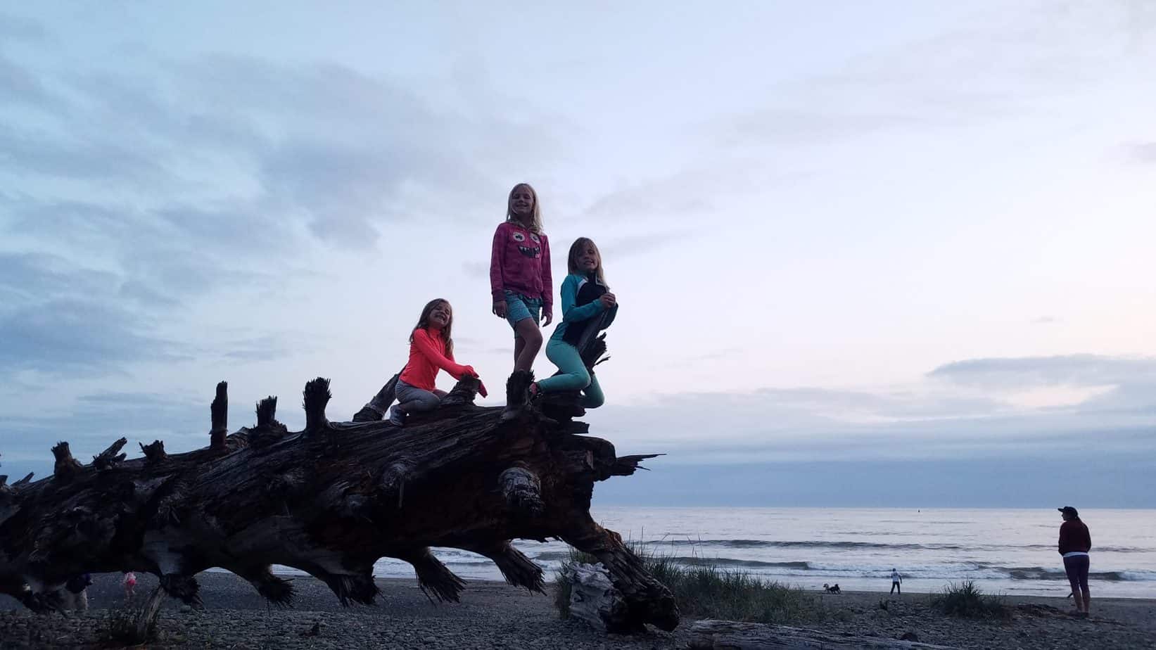 First Beach, Olympic National Park