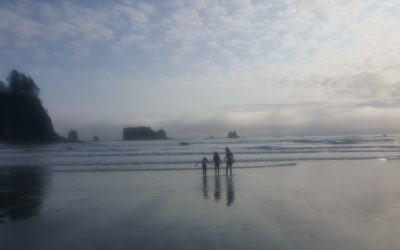 Olympic National Park with Kids