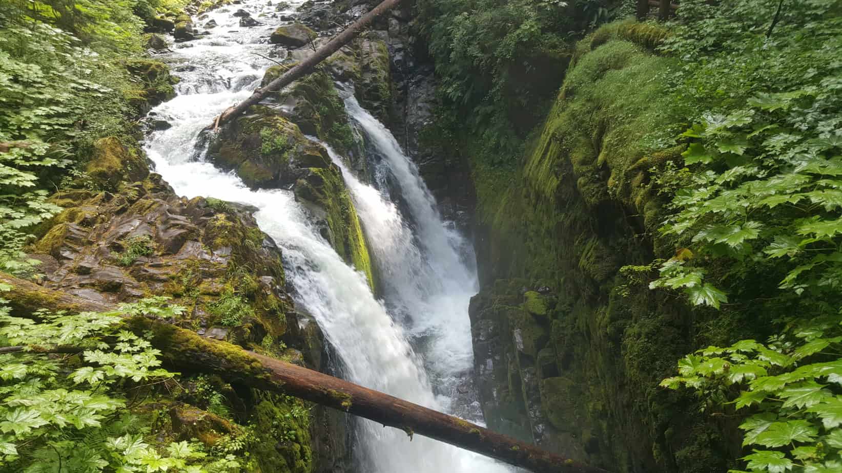 Sol-Duc Falls