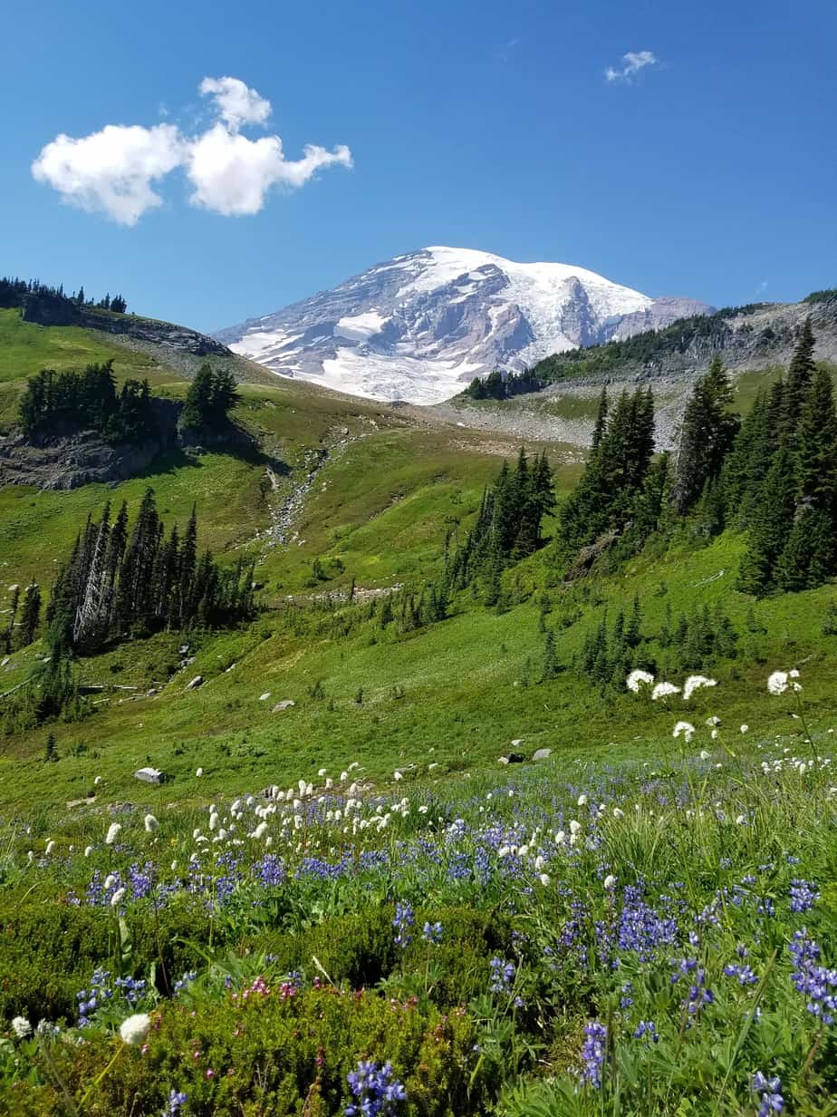 Mount Rainier