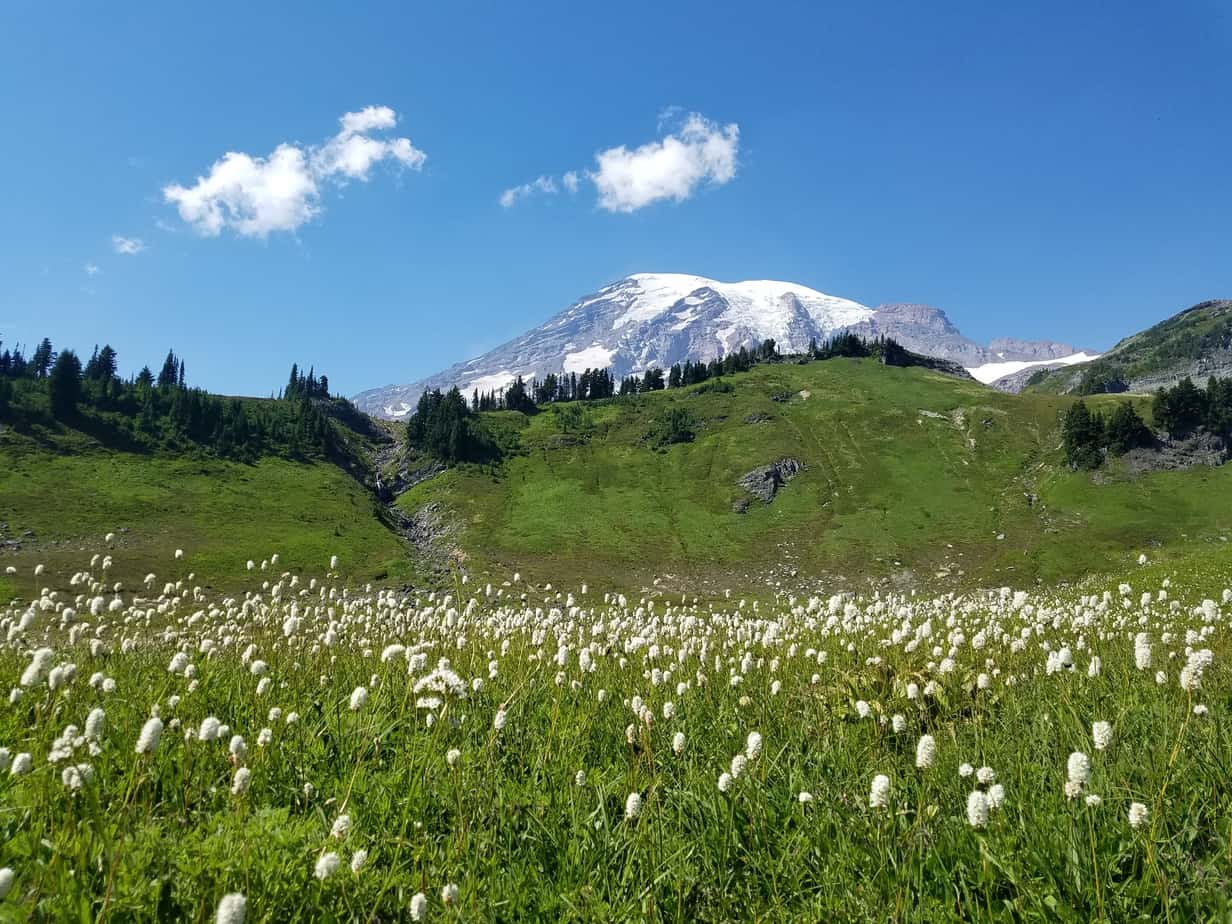 Mount Rainier National Park with Kids