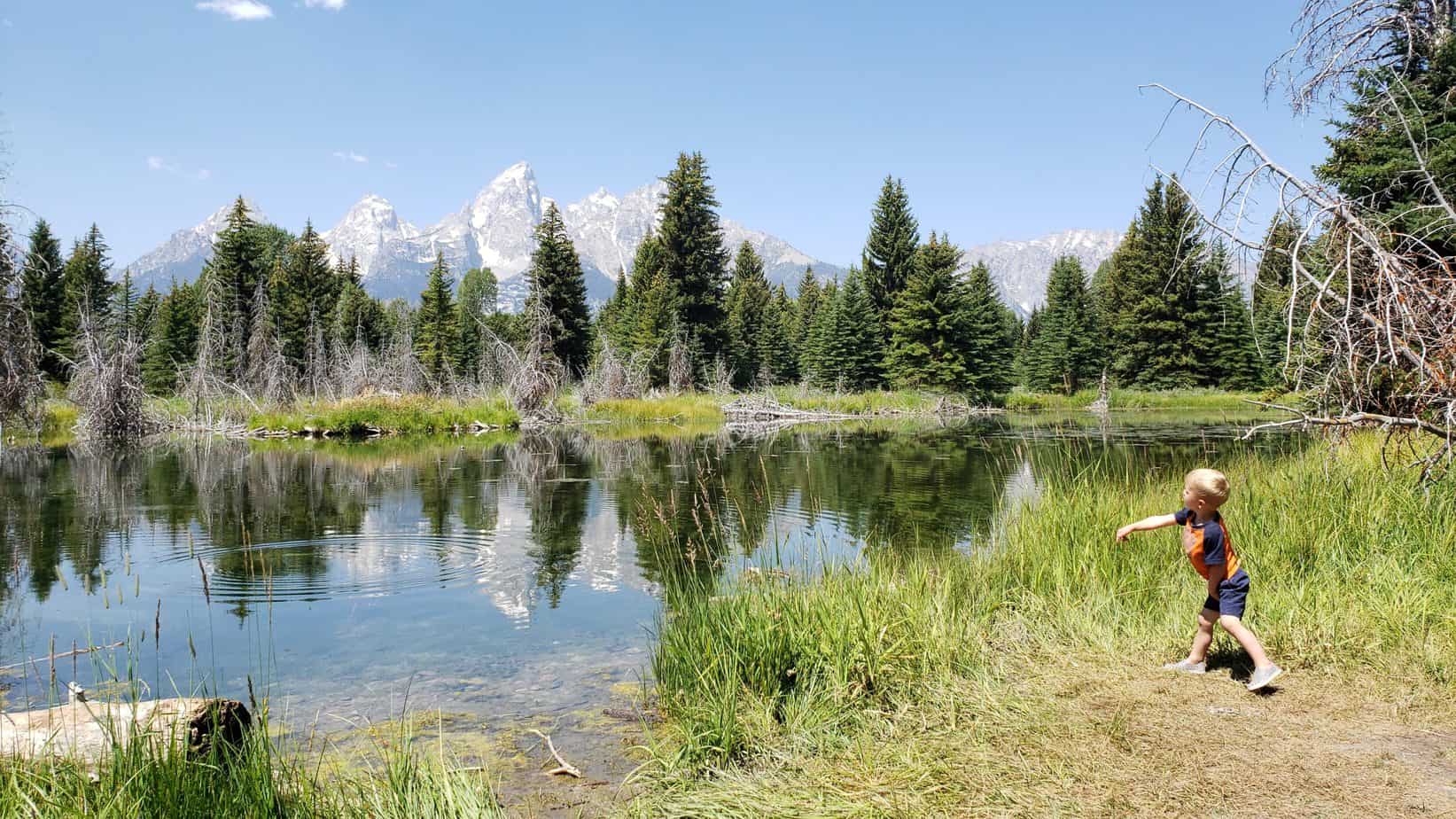 Schwabacher Landing